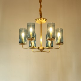 Fine Brass 6 Light Chandelier with Glass Shades