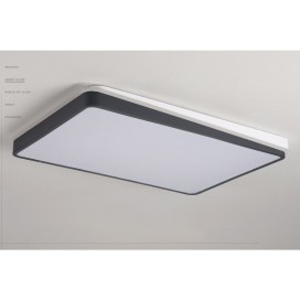 Modern Contemporary Rectangle Stainless Steel Flush Mount Ceiling Light