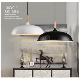 1 Light Modern/ Contemporary Metal Pendant Light